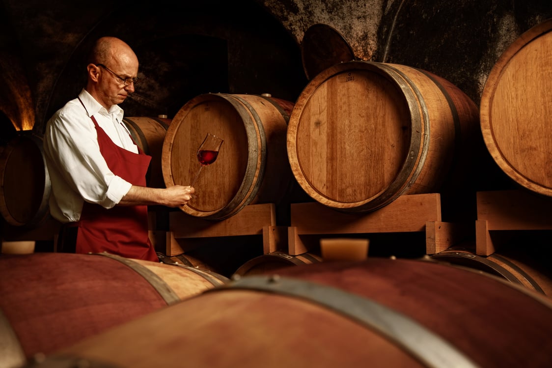 winemaker taking vine sample